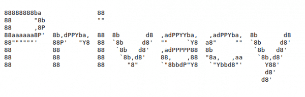 Privacy Ascii Art